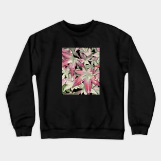 Japanese Maple Starting to Turn Crewneck Sweatshirt